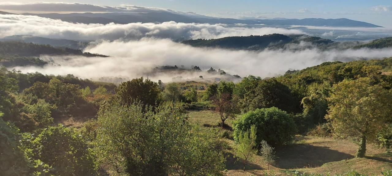 Casa Bisibilla * Capolona