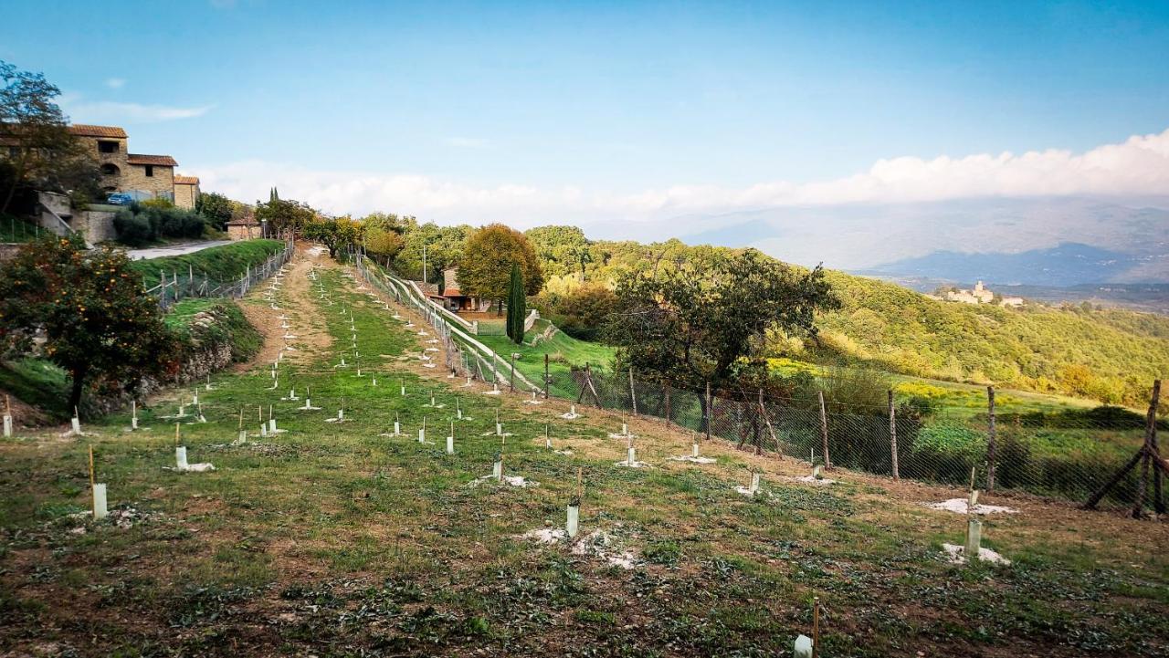 Casa Bisibilla Holiday home
